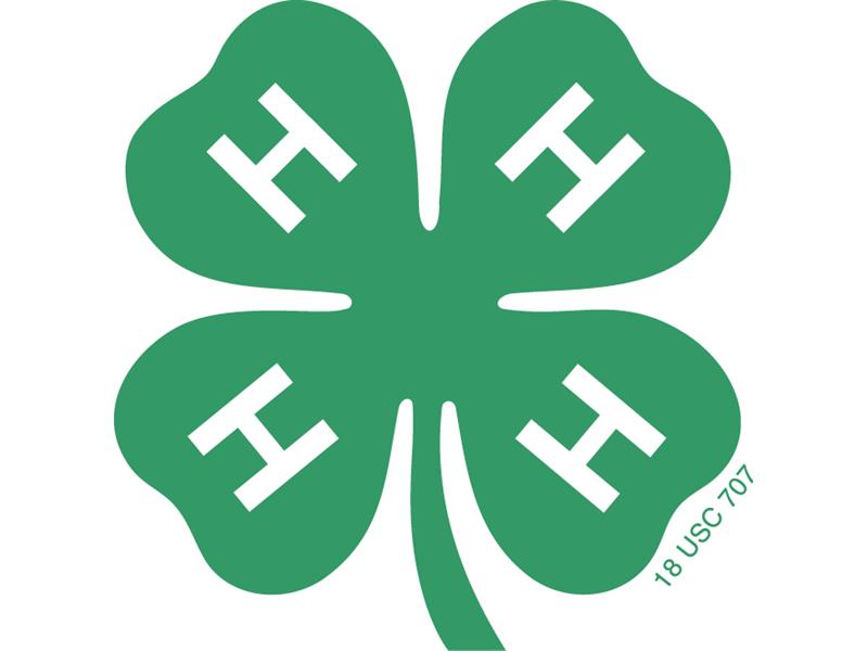 Logo for 2024 Pulaski County 4-H & Community Fair