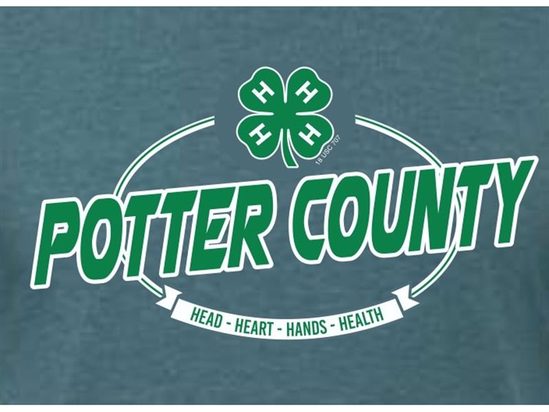 Logo for 2024 Potter County Fair