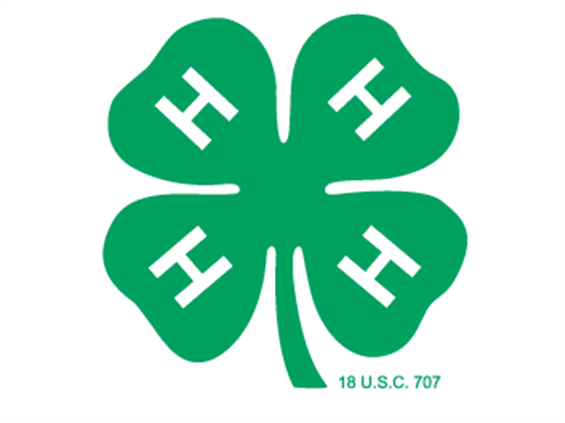 Logo for 2024 St Joseph County 4-H Fair