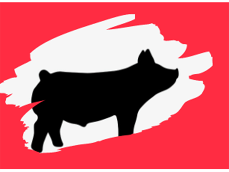 Logo for 2024 Patriot Jackpot Pig Show