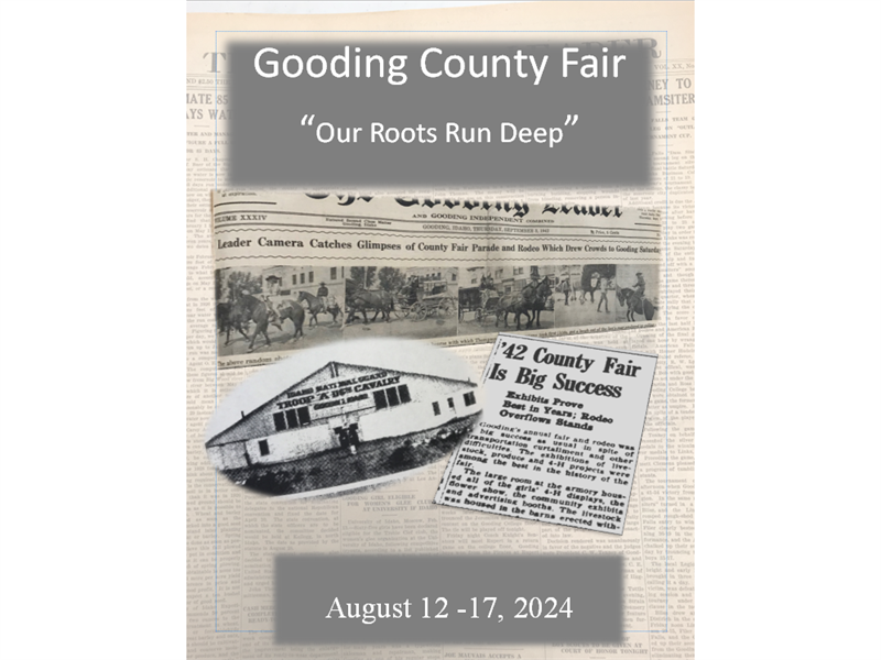 Logo for 2024 Gooding County Fair