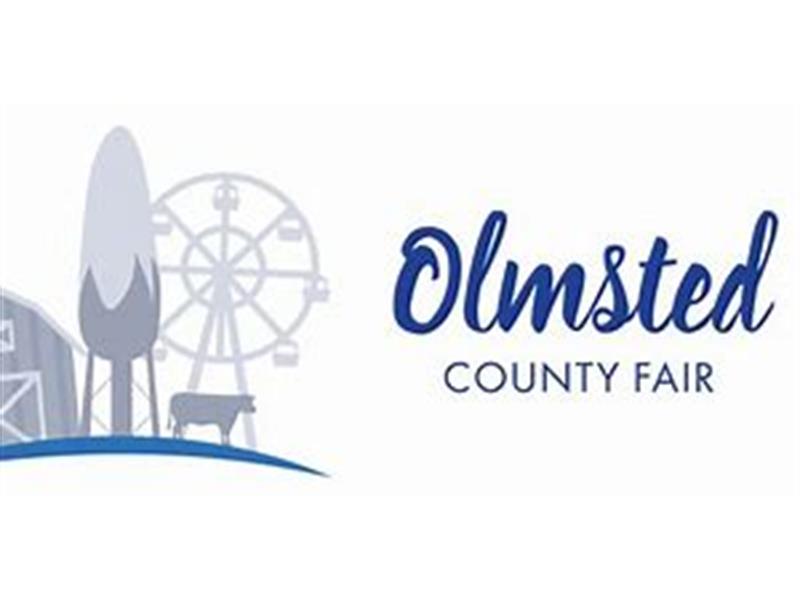 Logo for 2024 Olmsted County Open Fair