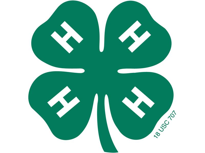 Logo for 2024 Parke County 4-H Fair