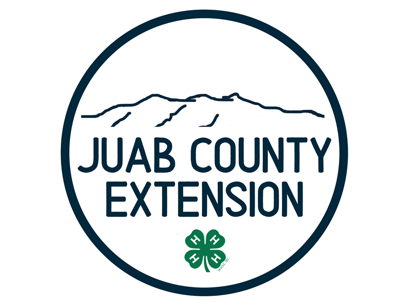 Logo for 2024 Juab County 4-H Fair