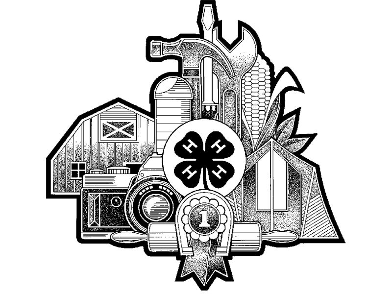 Logo for 2024 Teton County Fair