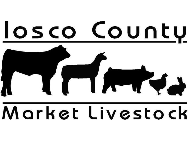Logo for 2024 Iosco County Fair