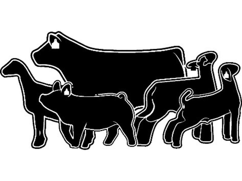 Logo for 2024 Sanpete County Jr. Livestock Show