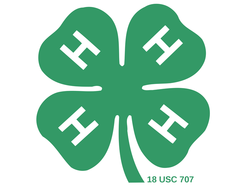 Logo for 2025 Adams County Fair