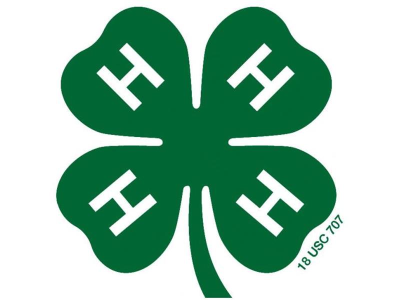 Logo for 2025 Winnebago County 4-H Fair