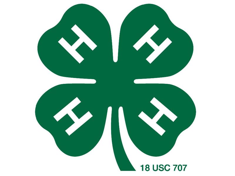 Logo for 2026 Richland County 4-H Fair